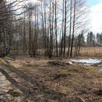 Отголоски зимы... :: Наталья Лунева 