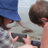 Вот так мы встречаем гостя! :: ИРЭН@ .