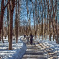 По дороге ... :: Kirill 