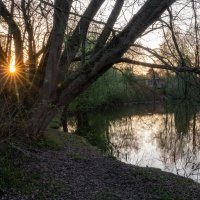 Последние лучи... :: Николай Гирш