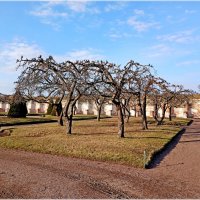 Марлинский сад. :: Лия ☼