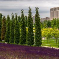 Парк Галицкого в городе Краснодар :: Игорь Сикорский