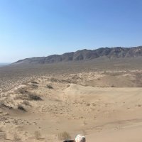 В песках Алтын Емеля. :: Георгиевич 