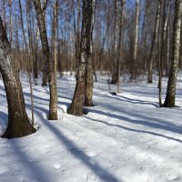Март, которого жду целый год :: Андрей Лукьянов