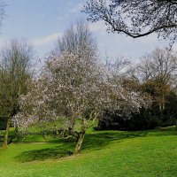 Весна(серия) :: Владимир Манкер