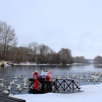 Озеро Светлое :: Татьяна Лютаева