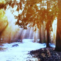 В солнечный денёк :: Людмила Смородинская