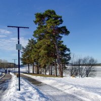 Весны неспешные шаги. :: Михаил "Skipper"