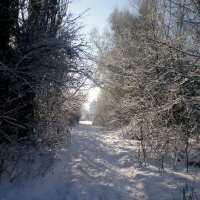 Прогулка по городу :: Роман Савоцкий