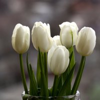 Утренняя фантазия :: Леонид 