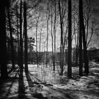 Весна... :: Алексей Архипов