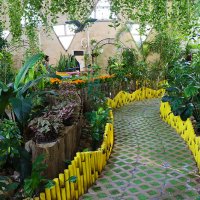 В парке бабочек :: Галина Ильясова