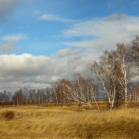 Картина октября. :: nadyasilyuk Вознюк