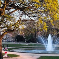 Цветение клёнов в парке Брюсселя :: Aida10 