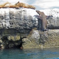 Давай поговорим! :: ИРЭН@ .