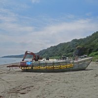 Готовность №1 :: ИРЭН@ .