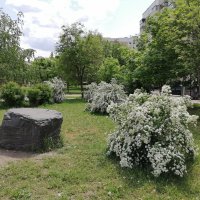 ,,, :: Сергей Тимоновский