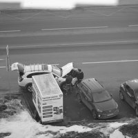 Одна голова хорошо, а четыре лучше) :: Митяй Митрич