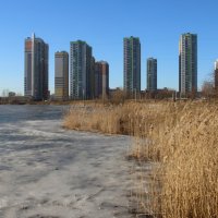 Весна в Купчино :: Наталья Герасимова