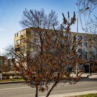 Весна :: Анатолий Чикчирный