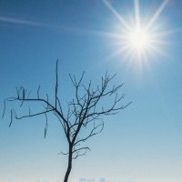 Весна 2026 :: Сергей В