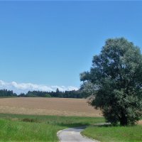 Эссертин-сюр-Роль :: Галина 