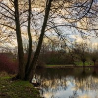 Январское... :: Николай Гирш