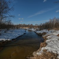 пришла весна :: сергей 