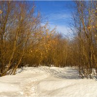 Март :: Валентин Котляров