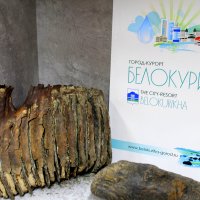 Зуб мамонта в музее СамоSветы :: Татьяна Лютаева