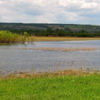 Заливные луга. :: nadyasilyuk Вознюк