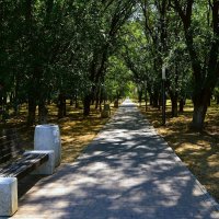 Керчь. В тени летней аллеи Комсомольского парка. :: Пётр Чернега