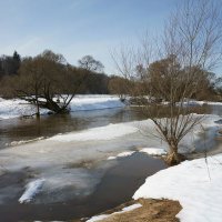 Ледоход на Протве :: Сергей Курников