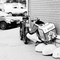 ПОДОЖДУТ ! :: Виктор Никитенко