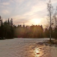 Начало марта... :: VasiLina *