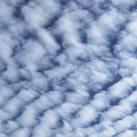 Небо над Петербургом вчера... :: Лилия *