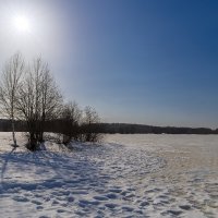 Весеннее солнце над озером :: Александр Синдерёв
