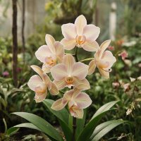 ЦВЕТЫ :: МАРИЯ ПОПОВА