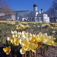 24 марта в Зарядье :: Михаил Бибичков