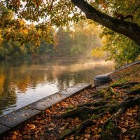 Берег в осеннем парке :: Лилия 