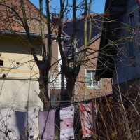 *** :: Константин Белоногов