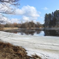 весна :: ИННА ПОРОХОВА