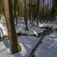 Вдоль ручья :: Сергей Цветков