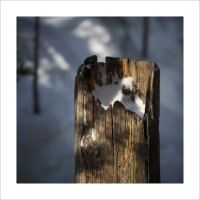 * :: Александр Иванов