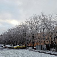 Вспомним зиму. :: Владимир Драгунский