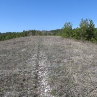 Хвалынские просторы :: Елена Шаламова