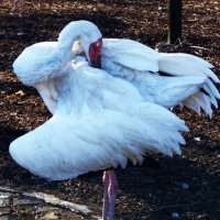 Испугался..и спрятался.. :: Aida10 