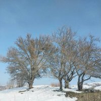 Ak Bulak. Talgar. :: Murat Bukaev 