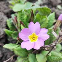 ,,, :: Сергей Тимоновский