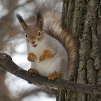 Жизнь удалась! :: Ната Волга Жизнь удалась! :: Ната Волга